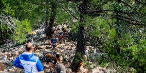 MARATÓ DELS DEMENTS